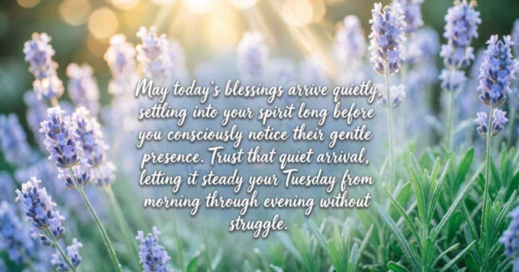 Inspirational Tuesday Blessings Quotes