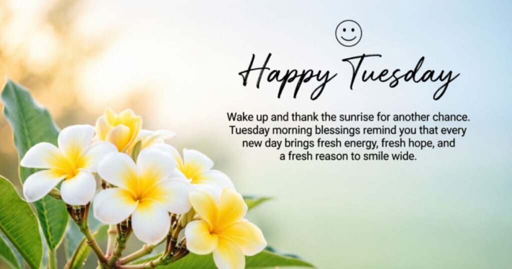 HAPPY TUESDAY MORNING BLESSINGS
