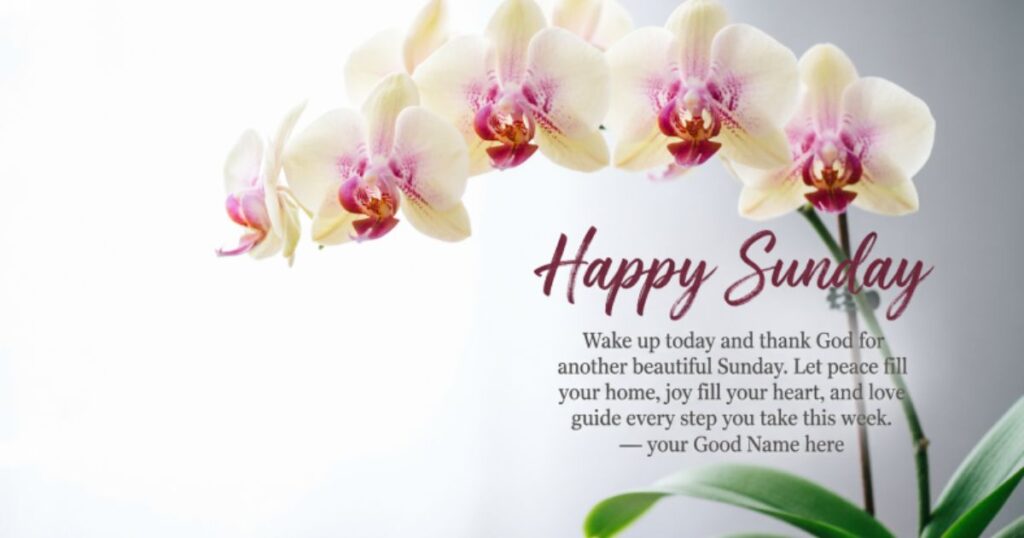 Happy Sunday Blessings