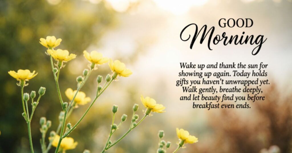 Beautiful Good Morning Tuesday Blessings