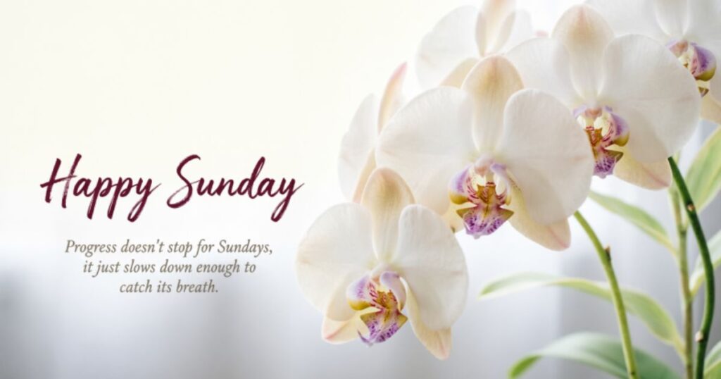 Motivational Sunday Blessings Images
